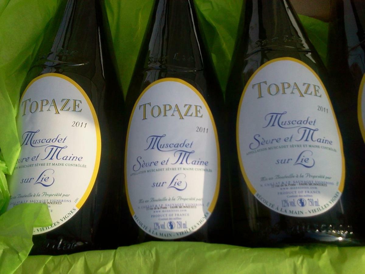 Topaze Sejour Chez Le Vigneron Monnieres  エクステリア 写真